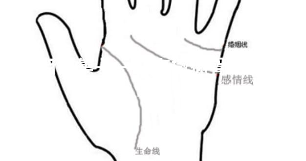 骨相锦集——左右撒插骨 左骨的位置